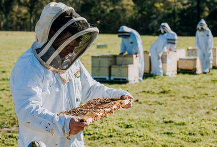 Learn-About-Honey-Beekeeping-Nav