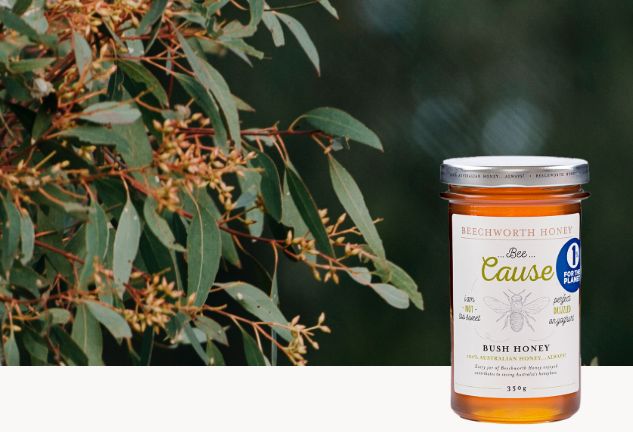 Bee Cause Bush Honey