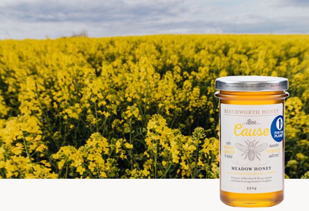 Bee Cause Meadow Honey
