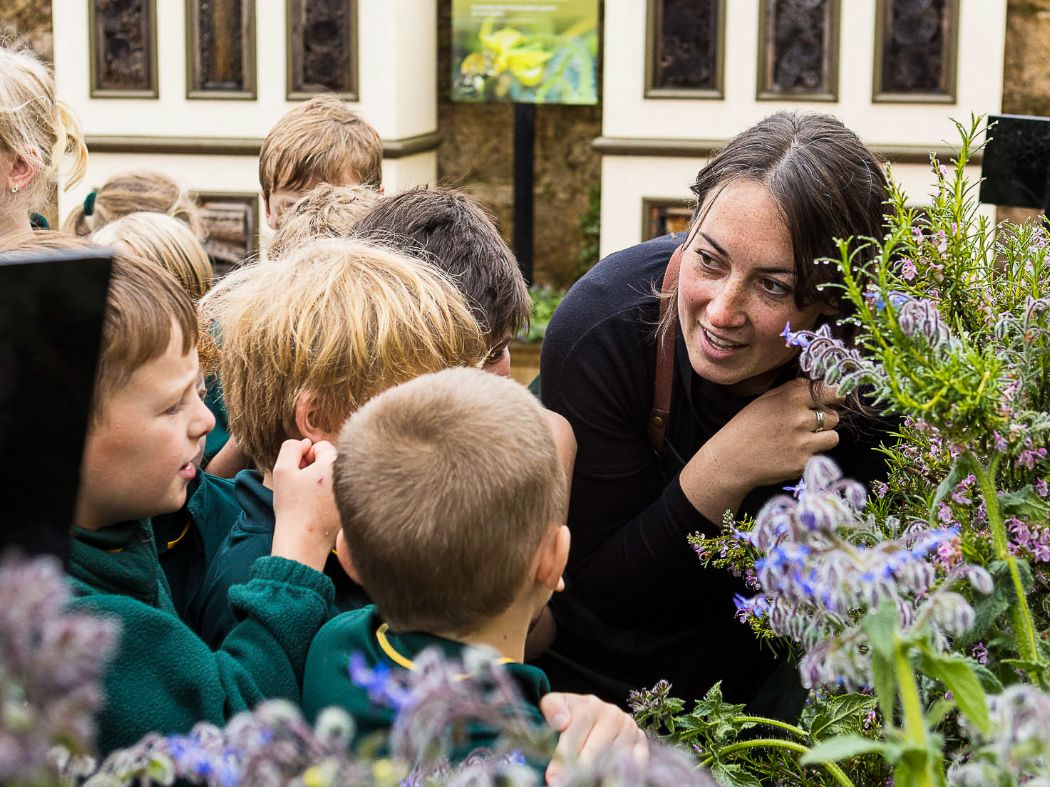 Bee School by Beechworth Honey