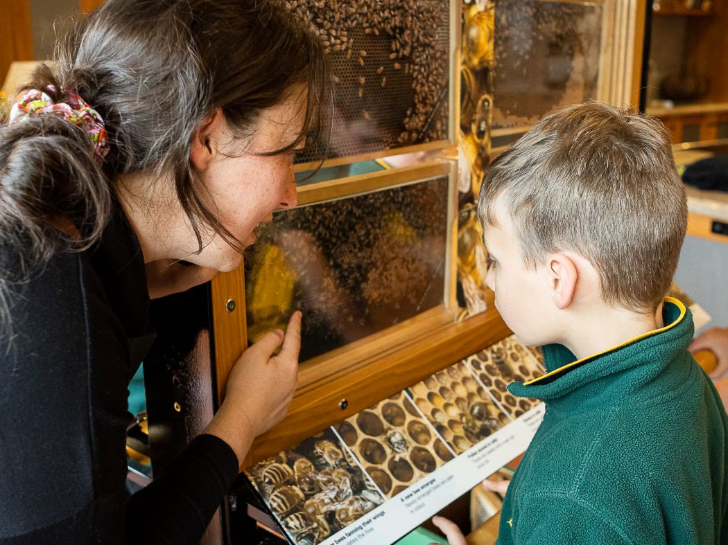 Bee School by Beechworth Honey