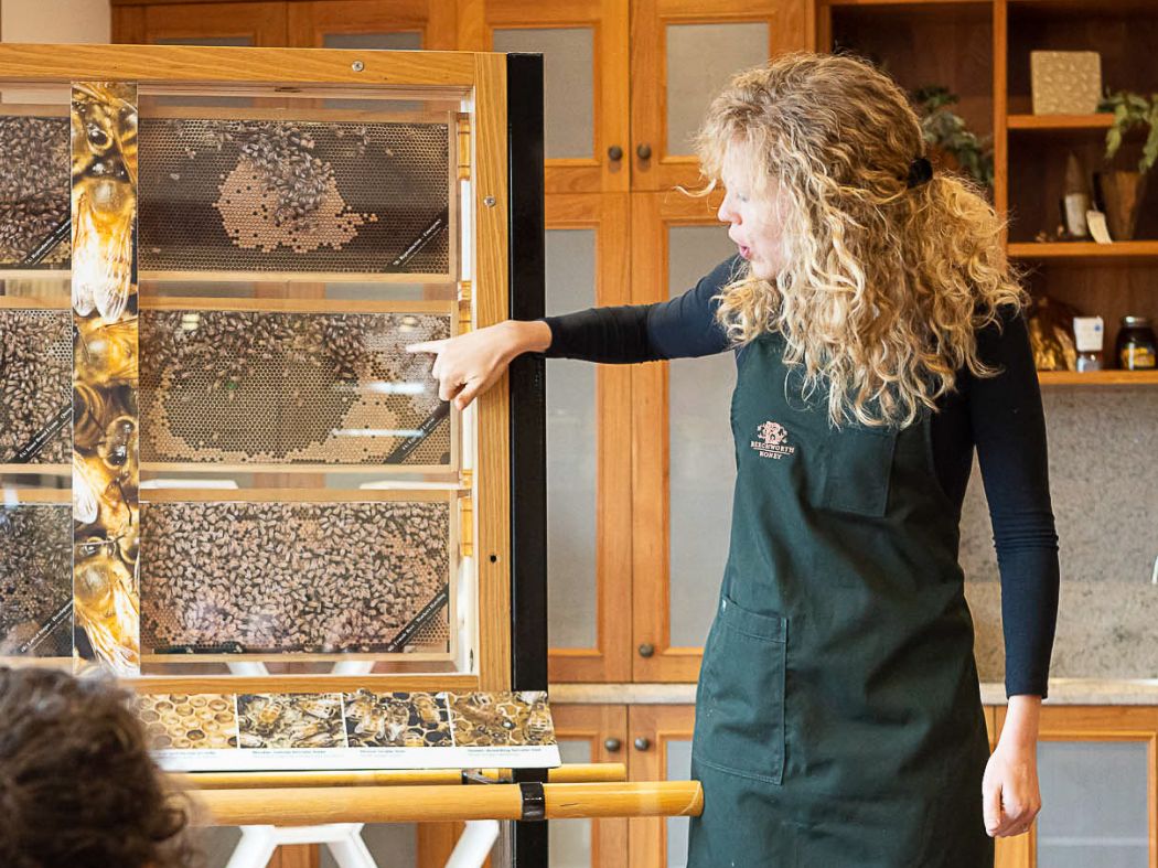 Bee School by Beechworth Honey
