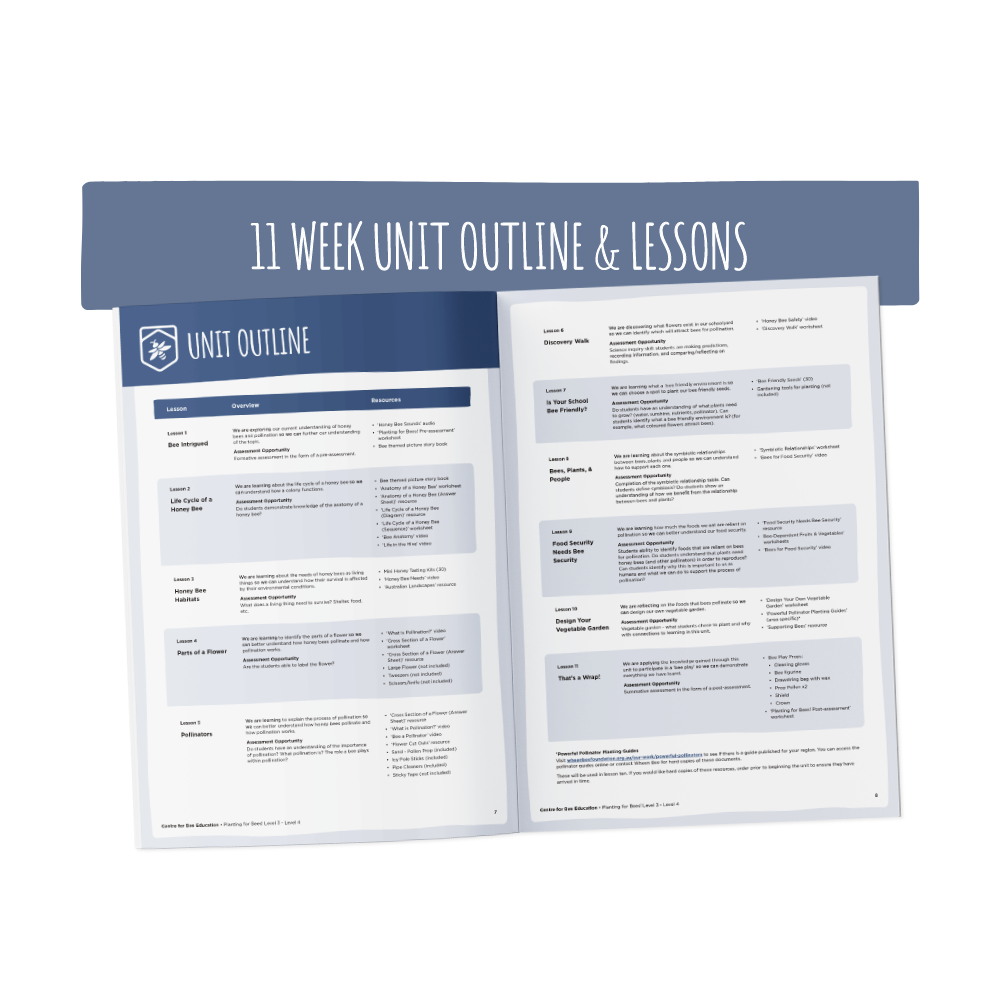 Planting for Bees Year 3 - Year 4