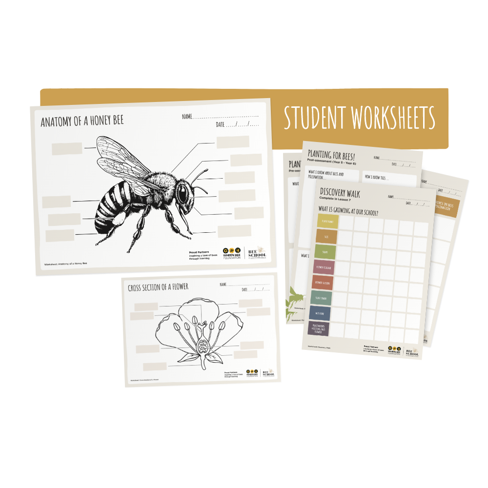 Planting for Bees Year 5 - Year 6