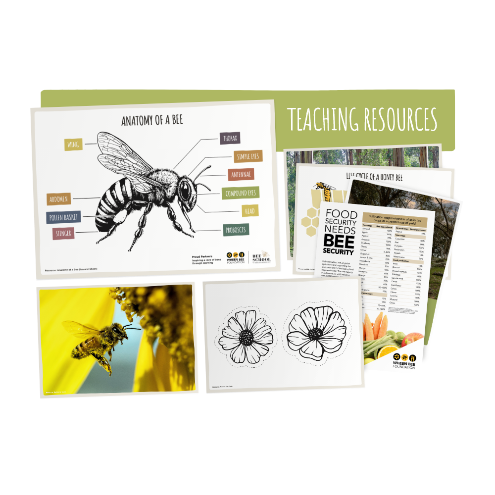 Planting for Bees Early Years - Year 2