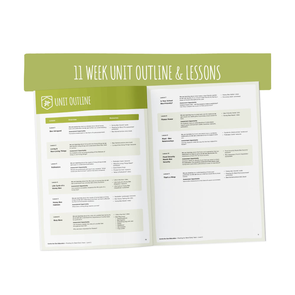 Planting for Bees Early Years - Year 2