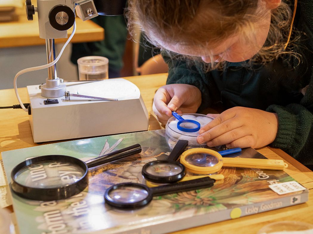 Kids Bee Workshops