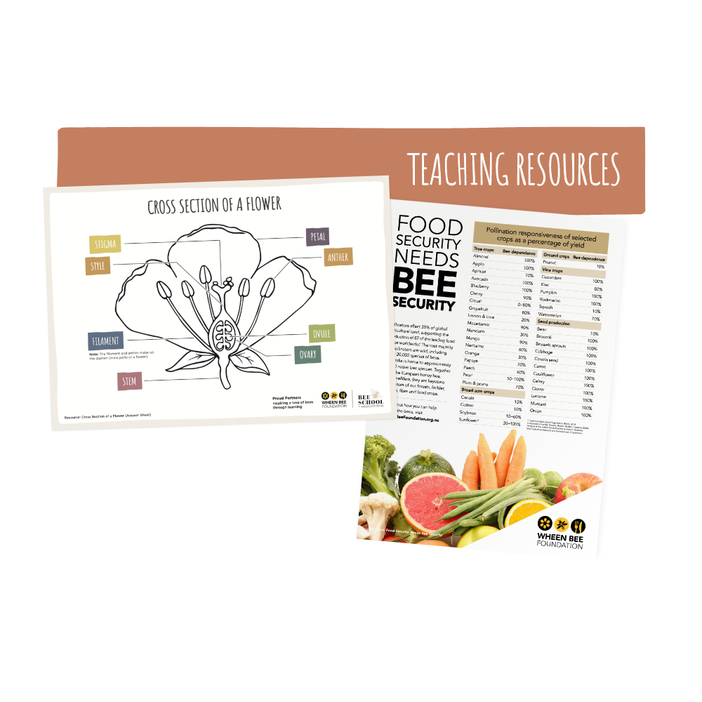 Planting for Bees Year 7 - Year 10