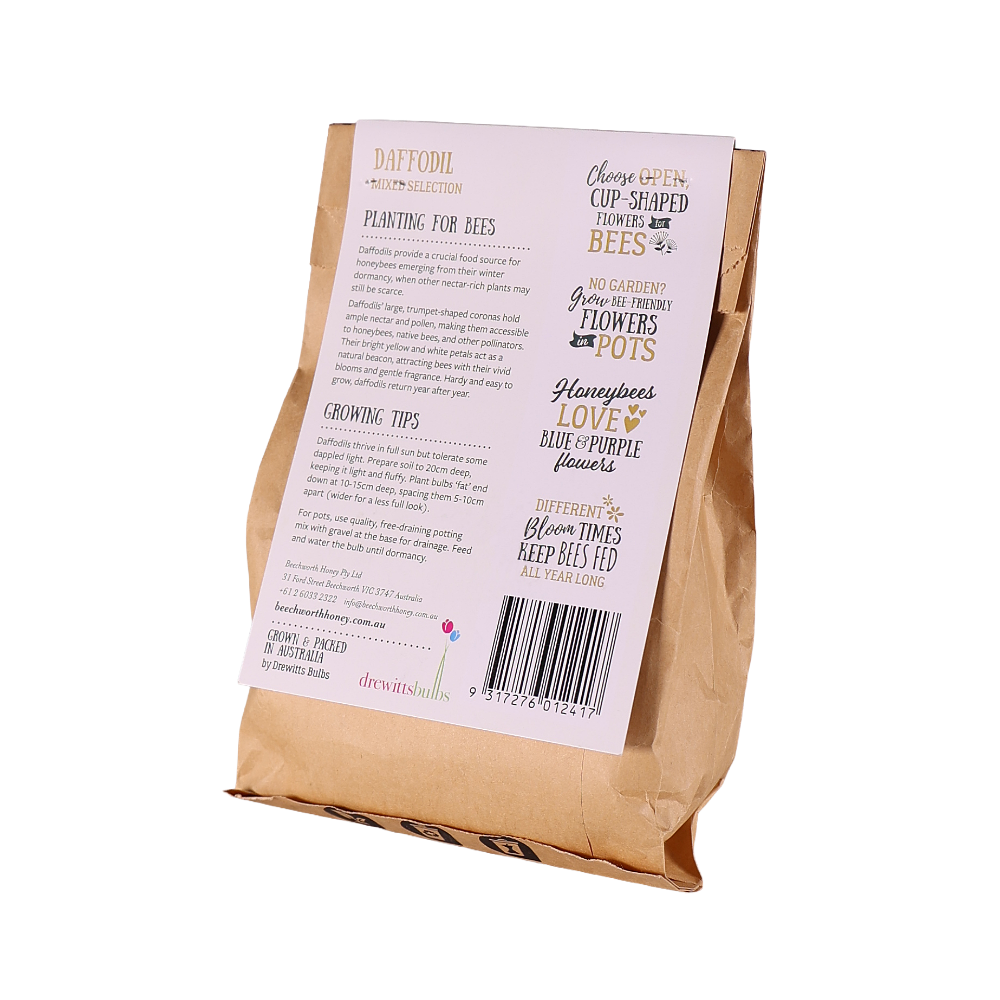 Bulbs for Bees - Daffodil 'mixed selection' Back