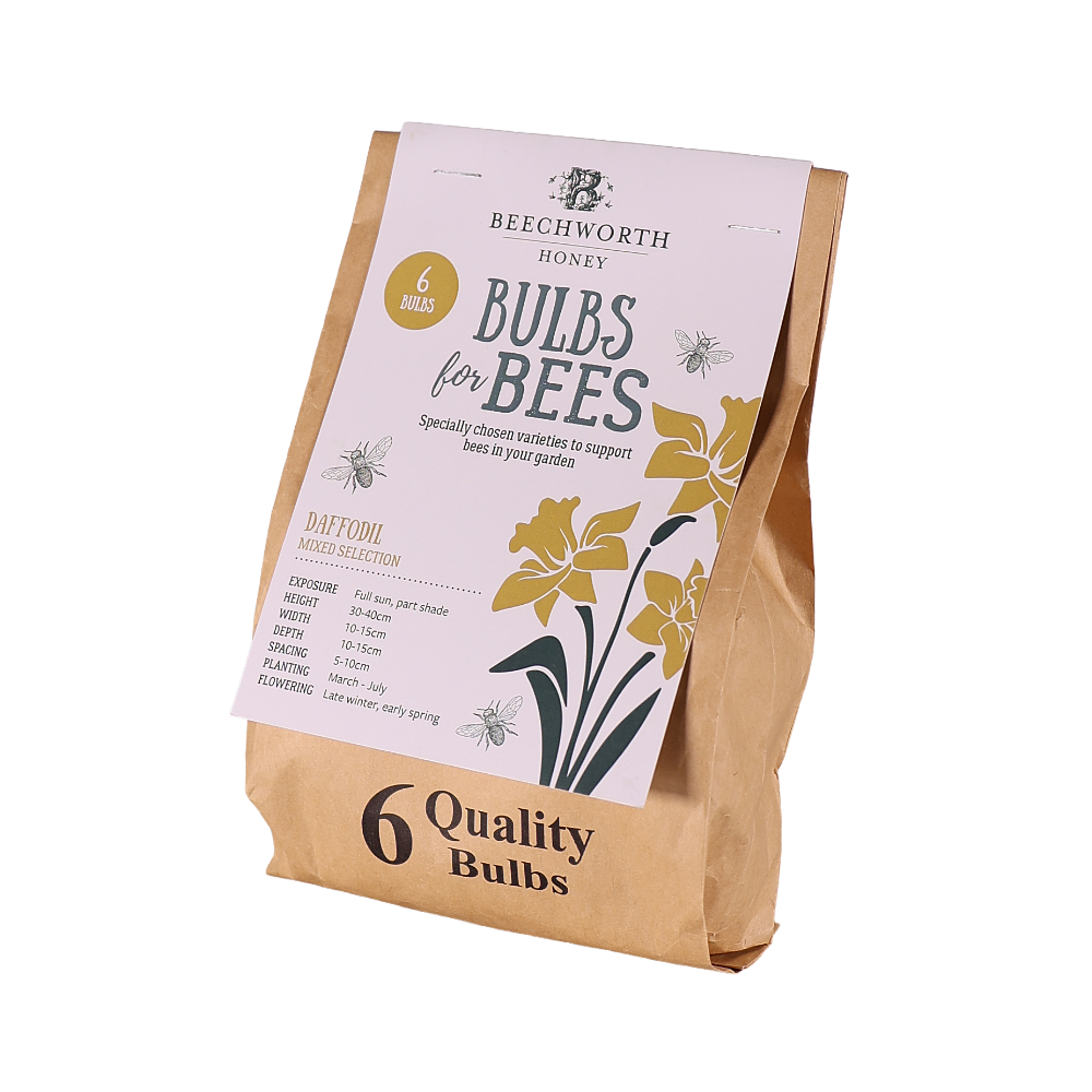 Bulbs for Bees - Daffodil 'mixed selection'