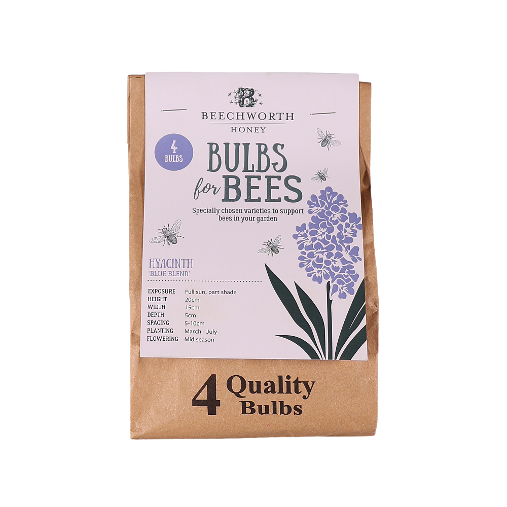 Bulbs for Bees - Hyacinth 'Blue Bland' Front