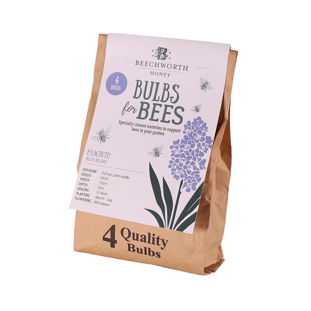 Bulbs for Bees - Hyacinth 'Blue Bland'