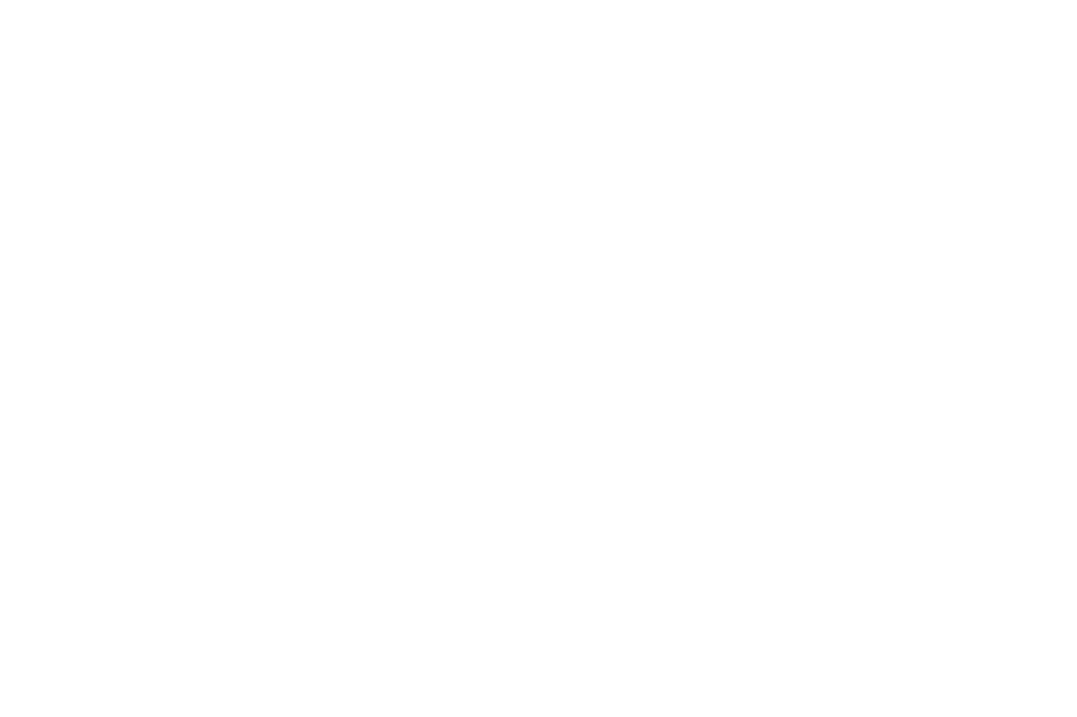Wheen Bee Foundation Logo